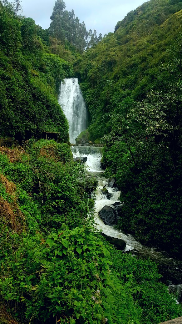 Galapagos Waterfall